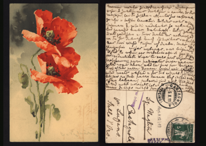 Katrīnas Kleinas pastkarte, kur redzami divi magoņu ziedi. Atklātnes otrā pusē ar roku rakstīta Aspazijas vēstules Rainim.
