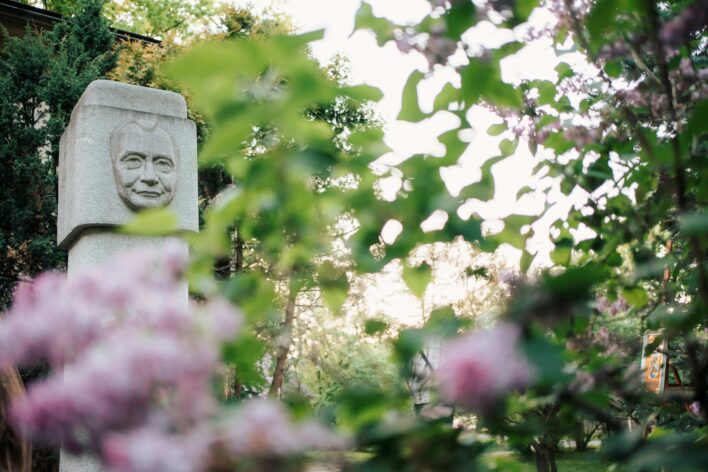 Akmens piemiņas zīme ar Ojāra Vācieša portreta cilni dārzā, skatīta caur zaļām lapām un violetiem ceriņu ziediem. Caur koku zariem spīd saule.